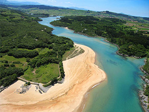 Playa de la Arena